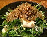 水菜シャキシャキじゃこサラダ作り方5写真