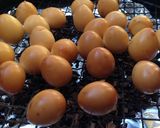 「燻製」うずらタマゴ作り方9写真