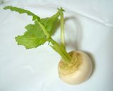 春の七草粥*七草図鑑作り方9写真