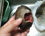 赤貝の開き方作り方3写真