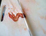 赤貝の開き方作り方13写真
