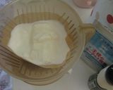 王様のヨーグルト種菌でサワーディップ風作り方2写真
