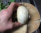 犬ごはん・丸ごとかぶとチキン蒸し作り方1写真