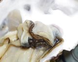 男のロマン！海のミルク殻付き牡蠣の剥き方作り方11写真