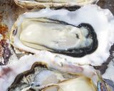 男のロマン！海のミルク殻付き牡蠣の剥き方作り方10写真