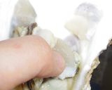 男のロマン！海のミルク殻付き牡蠣の剥き方作り方12写真