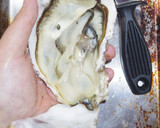 男のロマン！海のミルク殻付き牡蠣の剥き方作り方9写真