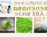 いつでも使える！ねぎのパラパラ冷凍保存作り方7写真