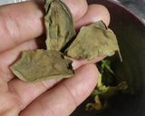 ホトチンコスープカレー（ＨＯＴ珍子使用）作り方29写真