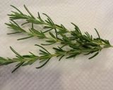鶏肉ときのこのカチャトーラ作り方5写真