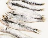 フライパンで焼くだけ☆ししゃも南蛮漬け作り方2写真
