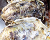 男のロマン！殻付き牡蠣使用！牡蠣グラタン作り方1写真