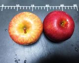 ヨーグルトのお供作り方1写真