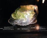 圧力鍋で簡単♬風邪予防にロールキャベツ☆作り方3写真