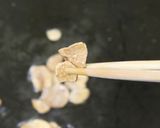 焼ガーリックポテト作り方6写真
