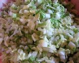 ｷﾞｮｰｻﾞ作り方1写真
