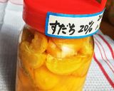 塩レモン大集合作り方8写真