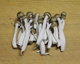 ご飯で簡単☆しめじの和風リゾット☆作り方1写真