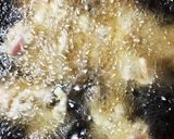 おかずにもおつまみにも！柚子胡椒から揚げ作り方7写真