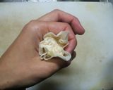 もちもち・ふわふわシュウマイ作り方3写真