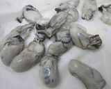 生っぽくない酢牡蠣作り方2写真