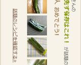 キュウリの一先ず保存はこれ！作り方11写真