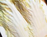 おもちと油揚げの白菜ロール作り方1写真