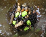 和食の代表　ひじき煮作り方5写真