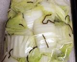 白菜の浅漬け作り方4写真