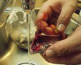 愛知の魚100選　マイワシの炊かず飯作り方4写真