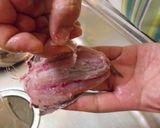 愛知の魚100選　マイワシの炊かず飯作り方6写真