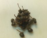 煮干しと椎茸の佃煮作り方2写真