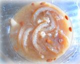 塩レモンの作り方作り方10写真