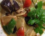 時短簡単タイ料理のチキンのグリーンカレー作り方7写真