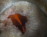 チキンカツのタレ作り方3写真