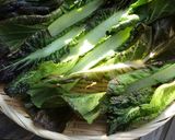 手作り☆高菜のお漬物作り方1写真