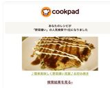 ♪簡単美味しく野菜嫌い克服♪お好み焼き作り方14写真
