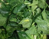 ほうれん草と納豆のナムル作り方1写真