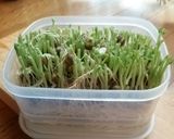 豆苗の卵炒め♪作り方1写真