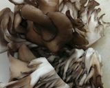 まいたけと小柱のソテー◆イタリアン風作り方1写真