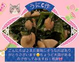 ☆ほうれん草と小エビごま油炒め☆作り方10写真