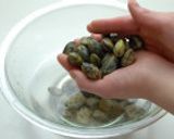 土鍋炊き★あさりと菜の花のご飯作り方2写真