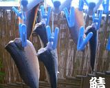 ♪自家製サバの味醂干し♪作り方3写真