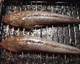 コチ（マゴチ）の塩焼き作り方1写真