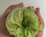 ふんわりロール白菜のスタミナトマト煮作り方10写真