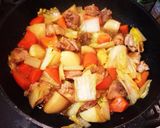 鳥肉煮込み♡作り方3写真