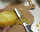 スピリタスでリモンチェッロ作り方1写真