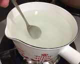 スピリタスでリモンチェッロ作り方4写真