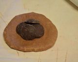 生地にも中にもチョコ♪とろ~りチョコパン作り方3写真