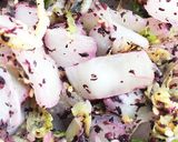 パパッと白菜ゆかり和え作り方6写真